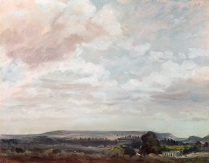 Uitzicht in Wiltshire